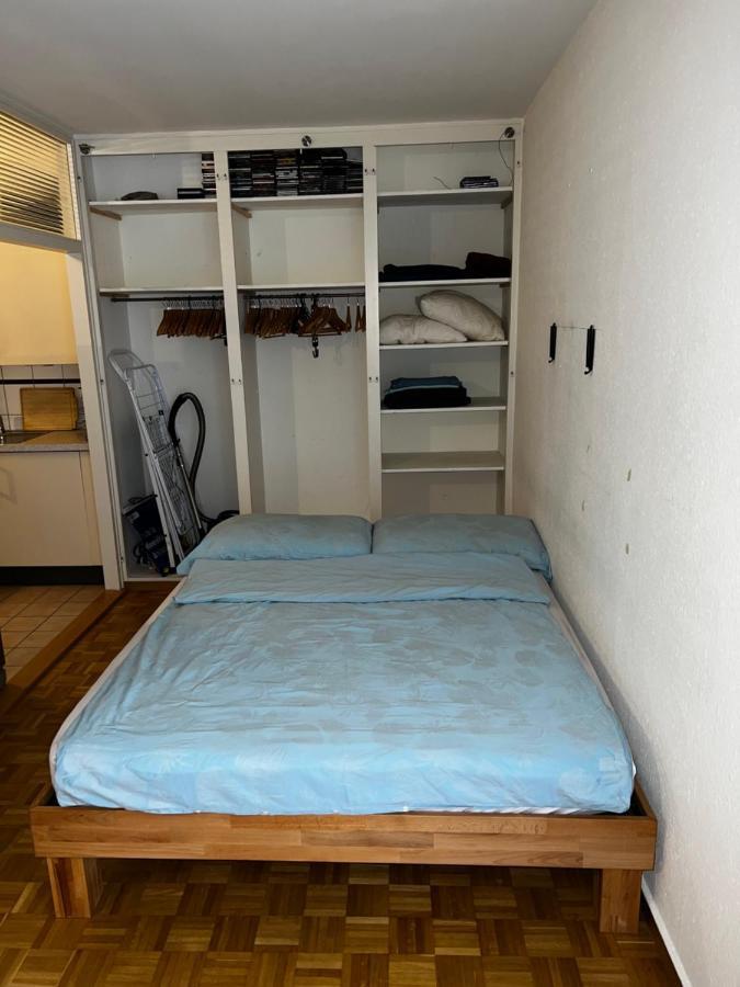 Appartement Beautiful Large Studio In Center Of Geneva Free Wifi Extérieur photo